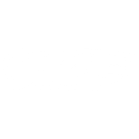 VICE logo